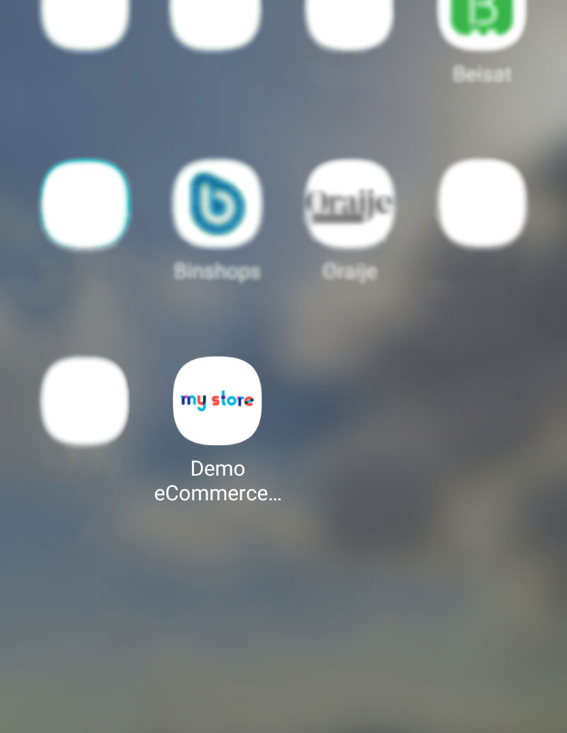 Binshops eCommerce app icon